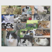 Bild der verschiedenen Katzen Geschenkpapier (Flach)