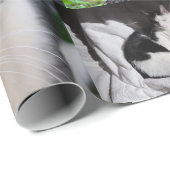 Bild der verschiedenen Katzen Geschenkpapier (Rolleneckpunkt)