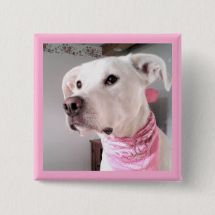 Bild des Niedlichen weißen Welpenhundes mit rosa S Button