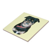 Bild des Schwarzen und des tan Mopshundeporträts Fliese (Seite)