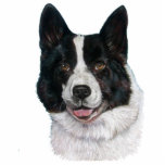 Bild des Schwarzweiss-Bärnhundes Fotoskulptur Schlüsselanhänger<br><div class="desc">Dieses ist Sweetie, ich malte ihr Porträt vor einigen Jahren. Sie hat wahrscheinlich einen Bärnhund, aber, weil sie ein Rettungshund ist, ist niemand ganz sicher. So, weil sie sehr viel wie ein Akita ich schaut, werden sie als Akita kategorisieren. Dieses hübsche Akita-Mädchen schaut auf diesem ursprünglichen Skulptur-Schlüsselanhänger groß, macht sie...</div>
