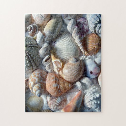 Bild des Seashells Puzzle (Vertikal)