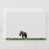 Bild einer afrikanischen Elefantenflatterkarte (Rückseite)