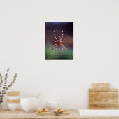 Bild einer farbenfrohen Spinne im Netz Poster (Küche)