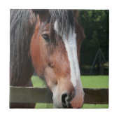 Bild einer Quarterhorse Fliese oder des Trivet (Vorderseite)