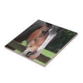 Bild einer Quarterhorse Fliese oder des Trivet (Seite)