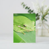 Bild einer Tree Frog-Postkarte Postkarte (Stehend Vorderseite)