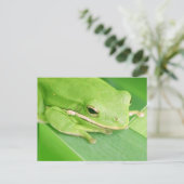 Bild einer Tree Frog-Postkarte Postkarte (Stehend Vorderseite)