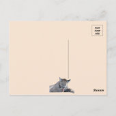 Bild eines 11 Monate alten Cougar Cub Pic Postkarte (Rückseite)