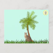 Bild eines Bobcat Postkarte (Rückseite)