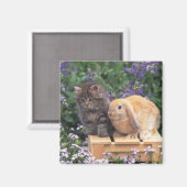 Bild eines Kitten und eines Lop Ohr Kaninchen Steh Magnet (Vorderseite/Rückseite)