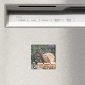 Bild eines Kitten und eines Lop Ohr Kaninchen Steh Magnet (In Situ (Geschirrspüler))
