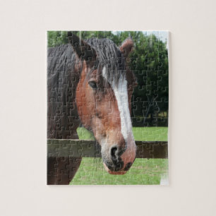 Bild eines Quarterhorse-Puzzlespiels Puzzle