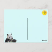 Bild eines Riesenpanda Postkarte (Rückseite)