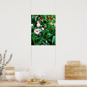 Bild mit roten und rosa Tulissen Poster (Küche)