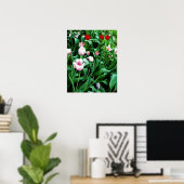 Bild mit roten und rosa Tulissen Poster (Heimbüro)