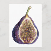 Bild Postkarte (Vorderseite)