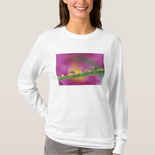 Bild von Astern, die in Wassertropfen gebildet wur T-Shirt