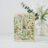 Bild von Blumen-Wörterbüchern Postkarte (Stehend Vorderseite)