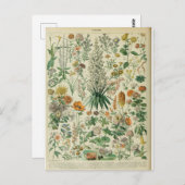 Bild von Blumen-Wörterbüchern Postkarte (Vorne/Hinten)