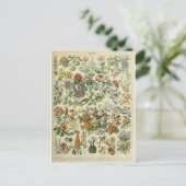 Bild von Blumen-Wörterbüchern Postkarte (Stehend Vorderseite)