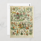 Bild von Blumen-Wörterbüchern Postkarte (Vorne/Hinten)