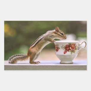 Bild von Chipmunk mit ChinaTeacup Rechteckiger Aufkleber