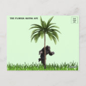 Bild von Florida Skunk Ape Postkarte (Rückseite)
