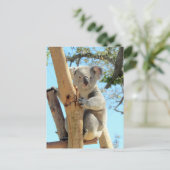 Bild von Koala - Australian Wildlife Fotografy Postkarte (Stehend Vorderseite)