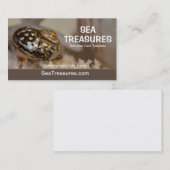 Bild von Starfish und Seashells Visitenkarte (Vorne/Hinten)