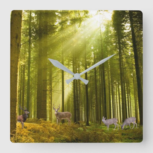 Bild von Wald und Hirsch für die Uhr (Vorderseite)