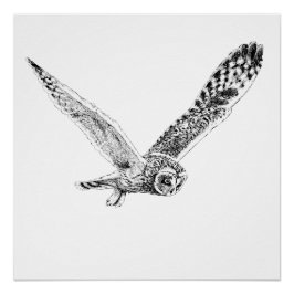 Bildende Owl Illustration Poster drucken
