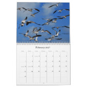 Bilder 2011 kalender (Feb 2027)