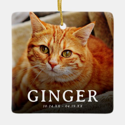 Bilder auf unserem Cat 2-Foto für Herz-Pet Keramikornament (Vorderseite)