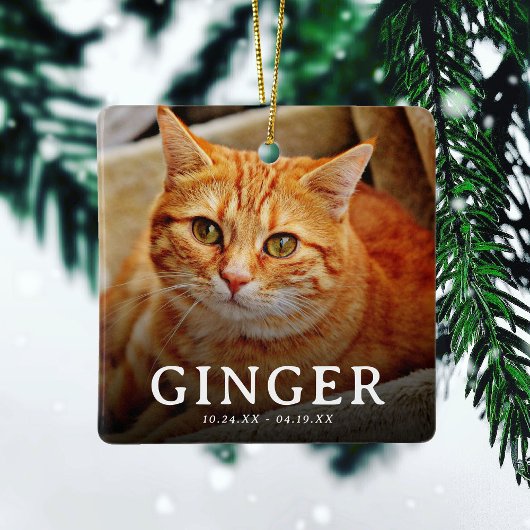 Bilder auf unserem Cat 2-Foto für Herz-Pet Keramikornament