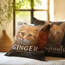 Bilder auf unserem Cat 2-Foto für Herz-Pet