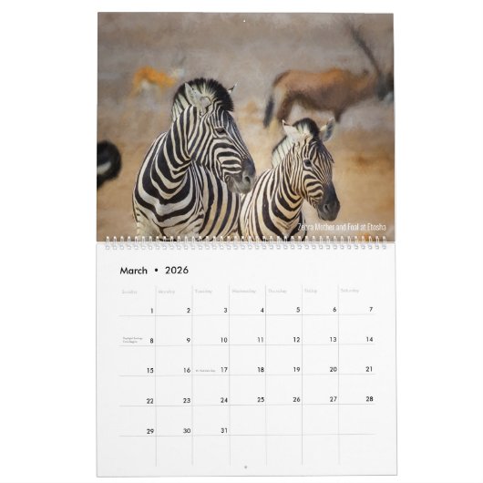 Bilder aus Namibia und Botsuana Kalender (Mär 2026)