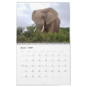 Bilder aus Südafrika Kalender (Mär 2027)