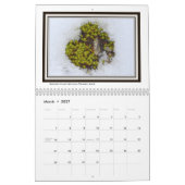 Bilder der Alpen Kalender (Mär 2027)