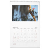 Bilder der Everglades, Florida Kalender (Feb 2027)