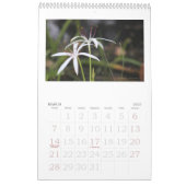 Bilder der Everglades, Florida Kalender (Mär 2027)