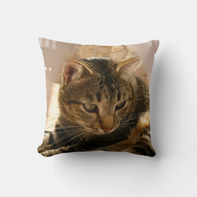 Bilder der Katzengeschenke pillows Kissen (Vorderseite)