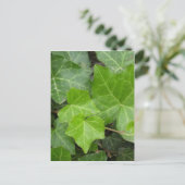 Bilder der Muschel Postkarte (Stehend Vorderseite)