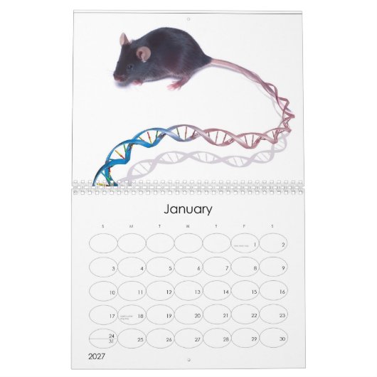 Bilder des Humangenomprojekts Kalender (Jan 2027)