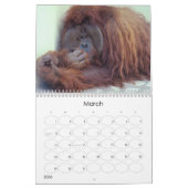 Bilder des Humangenomprojekts Kalender (Mär 2026)