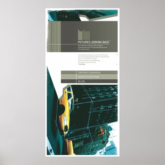 BILDER, DIE ZURÜCK AUSSEHEN (Leinwand) Poster (Vorne)