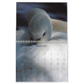 Bilder für 2018 kalender (Mär 2027)