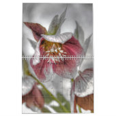 Bilder für 2018 kalender (Feb 2027)