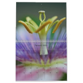 Bilder für 2018 kalender (Jan 2026)