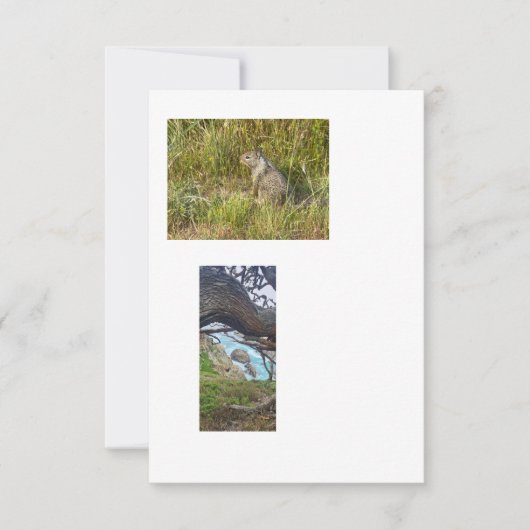 Bilder mit verknüpften Vorlagen (Vorderseite)